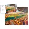 Fir Park Stadium Fine Art Jigsaw Puzzle - Motherwell FC